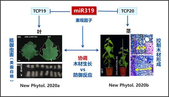 8d62e869a581ac0bcfa48a99e7d6cad